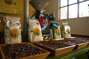 Poás Volcano, Doka Coffee, La Paz Waterfall photo 4